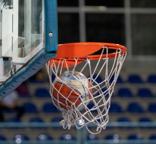 Highlights Molfetta-Alpha Pharma Bisceglie