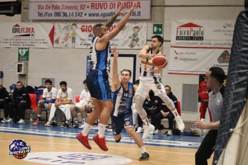 Molfetta-CRI-15619