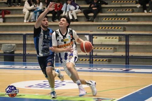 Molfetta-CRI-15712