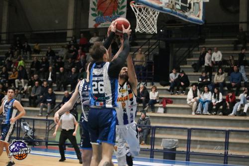 Molfetta-CRI-15716