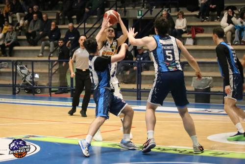 Molfetta-CRI-15722