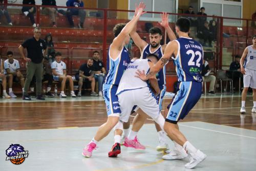 Brindisi-CRI-11545