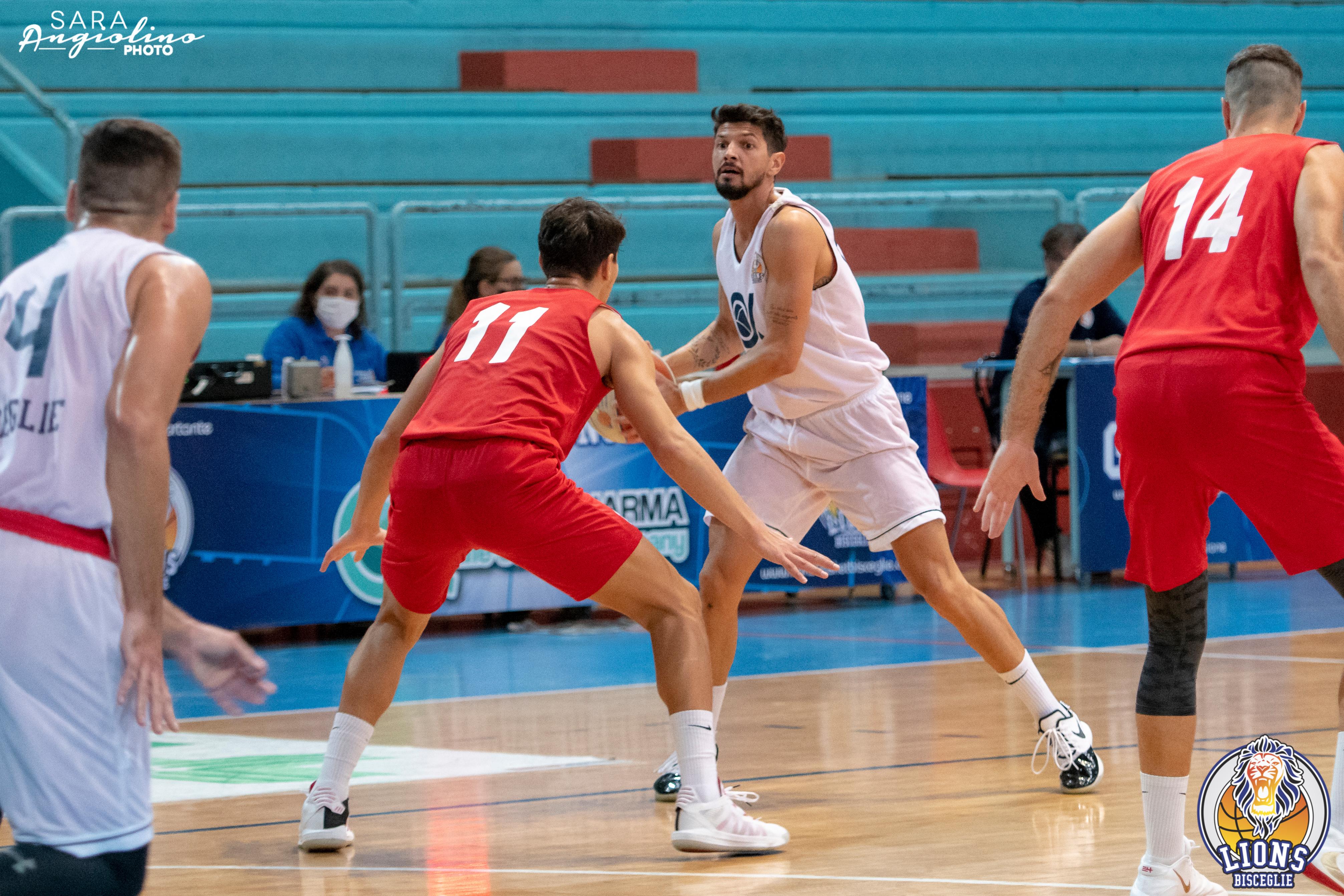 Lions - Molfetta Coppa 00032