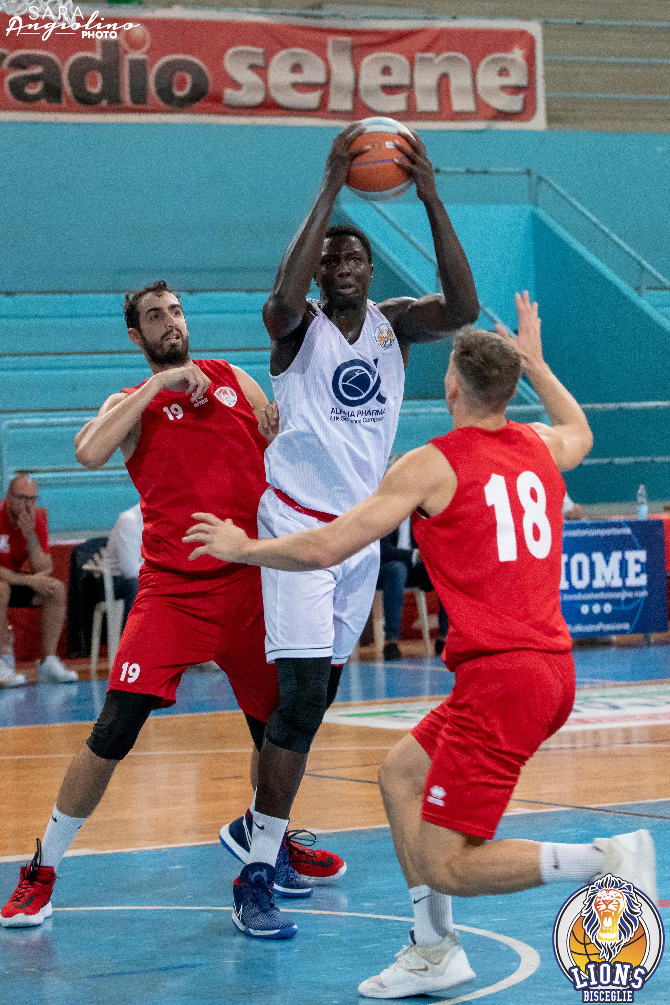 Lions - Molfetta Coppa 00034