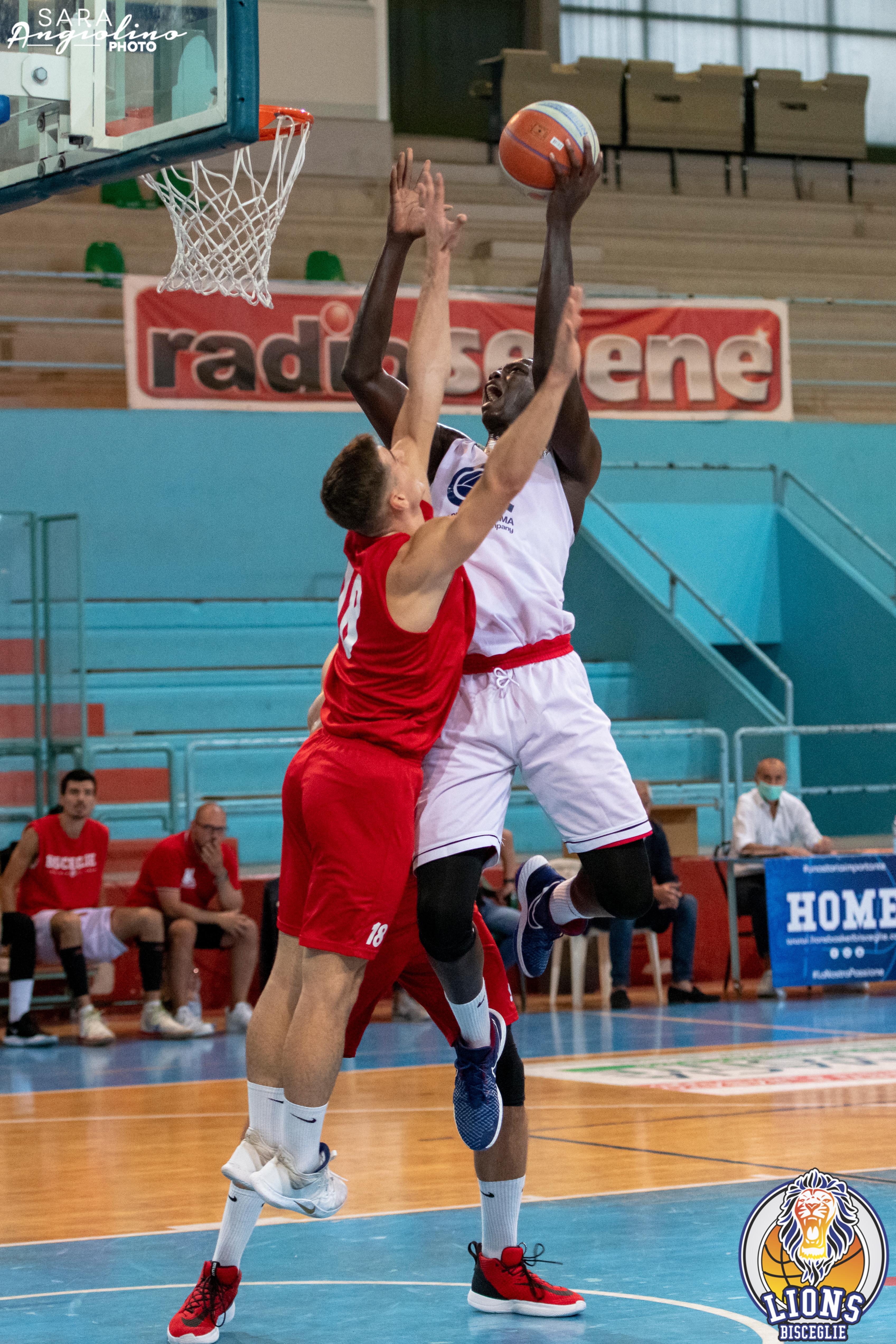Lions - Molfetta Coppa 00036