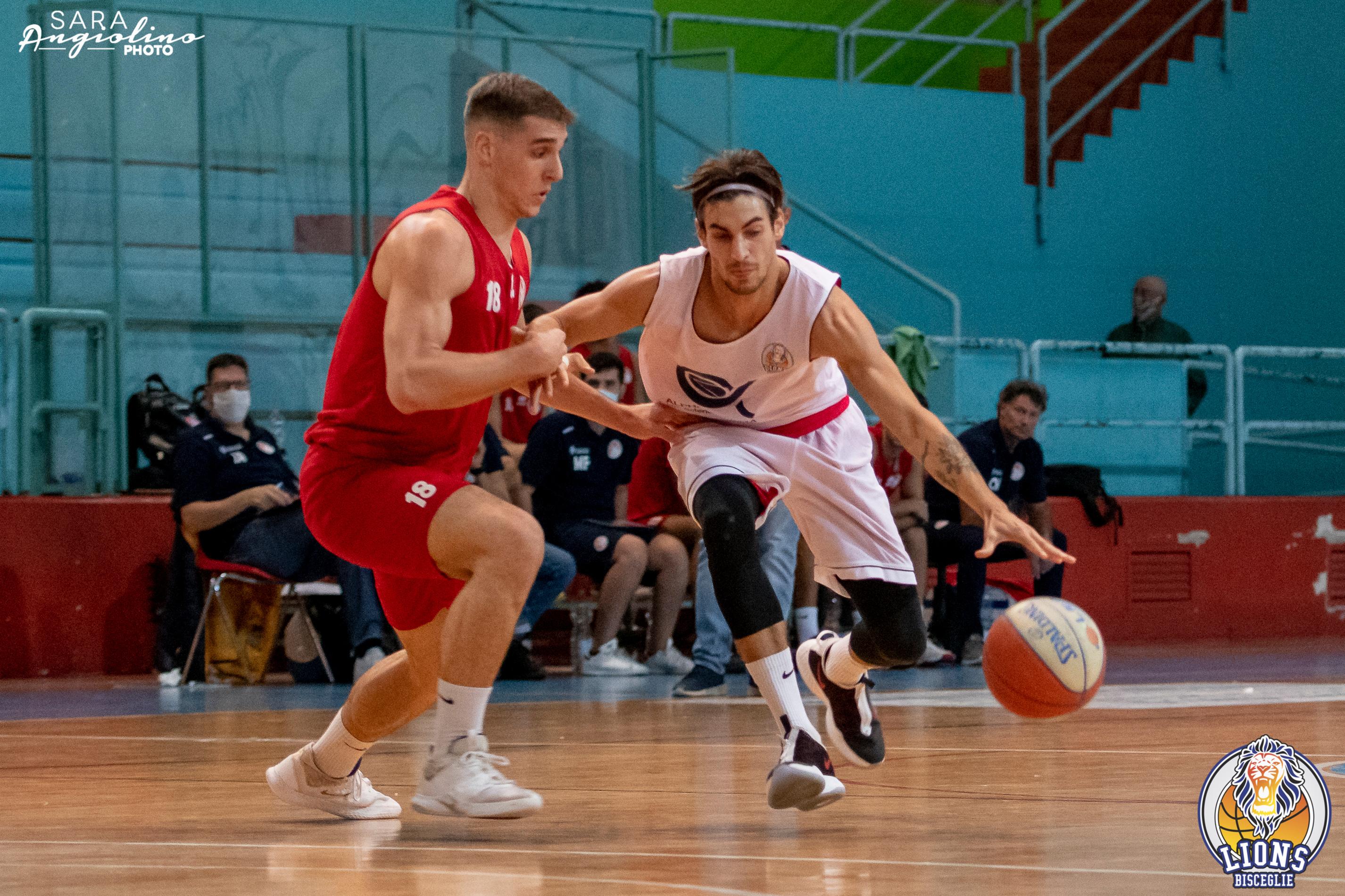 Lions - Molfetta Coppa 00038