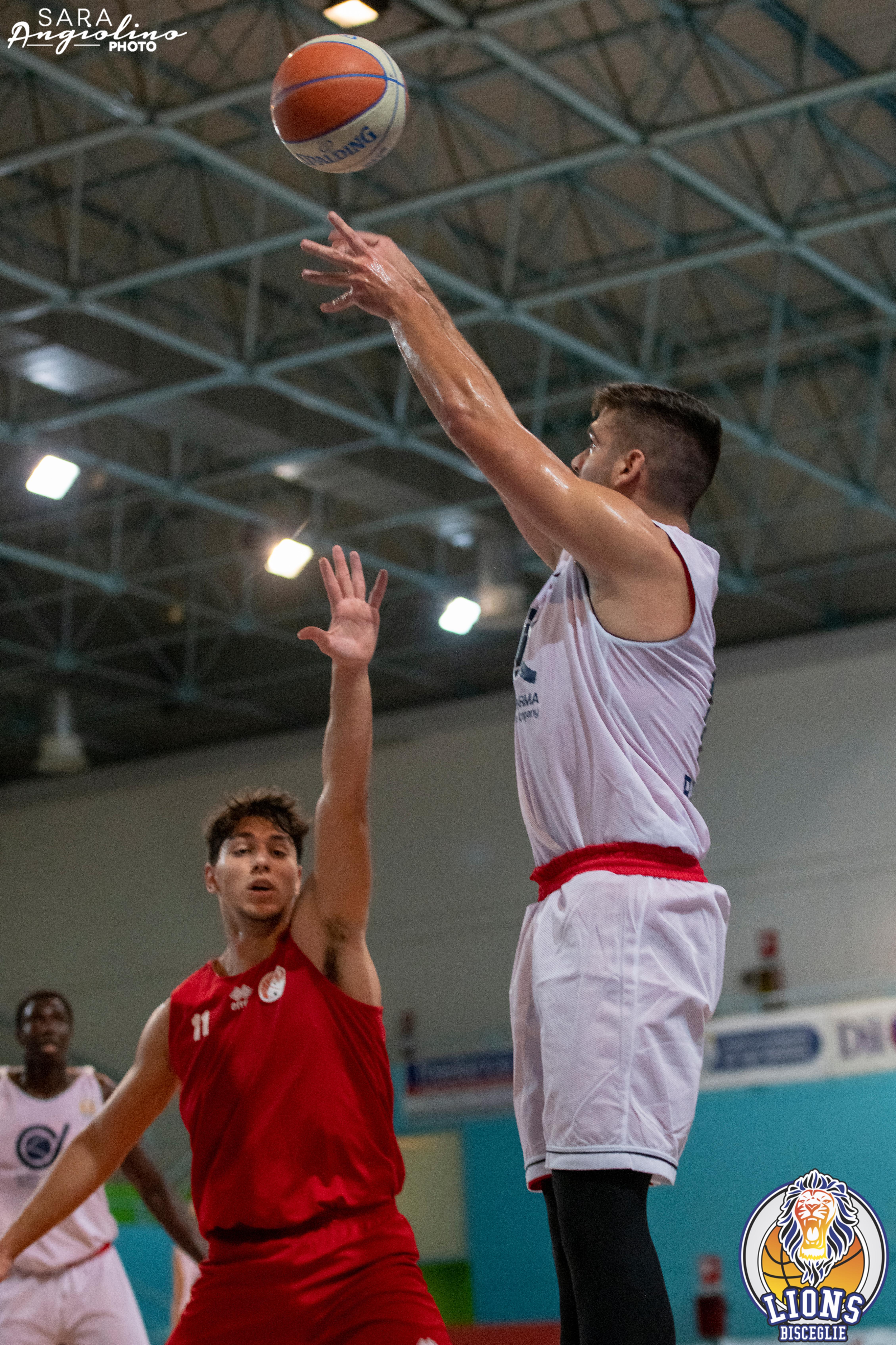 Lions - Molfetta Coppa 00049