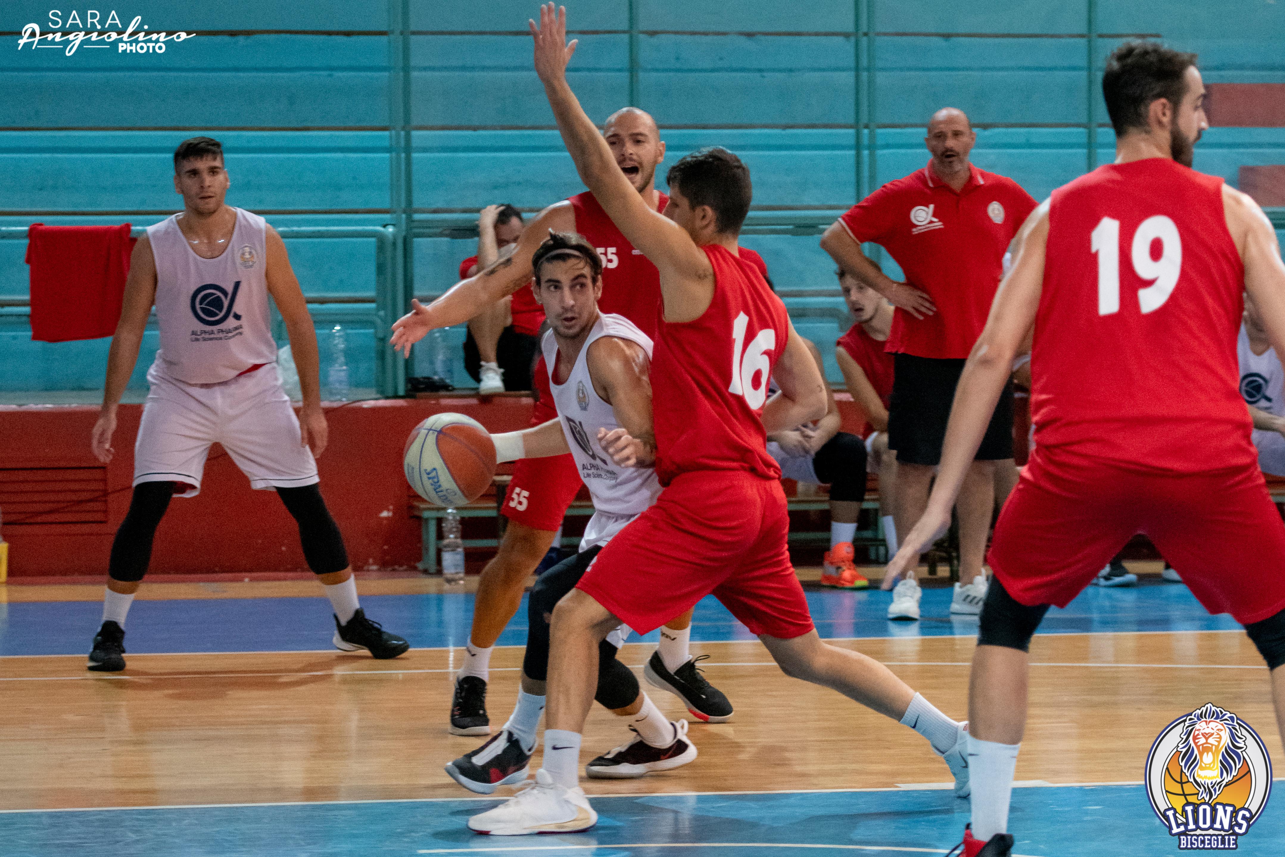 Lions - Molfetta Coppa 00050