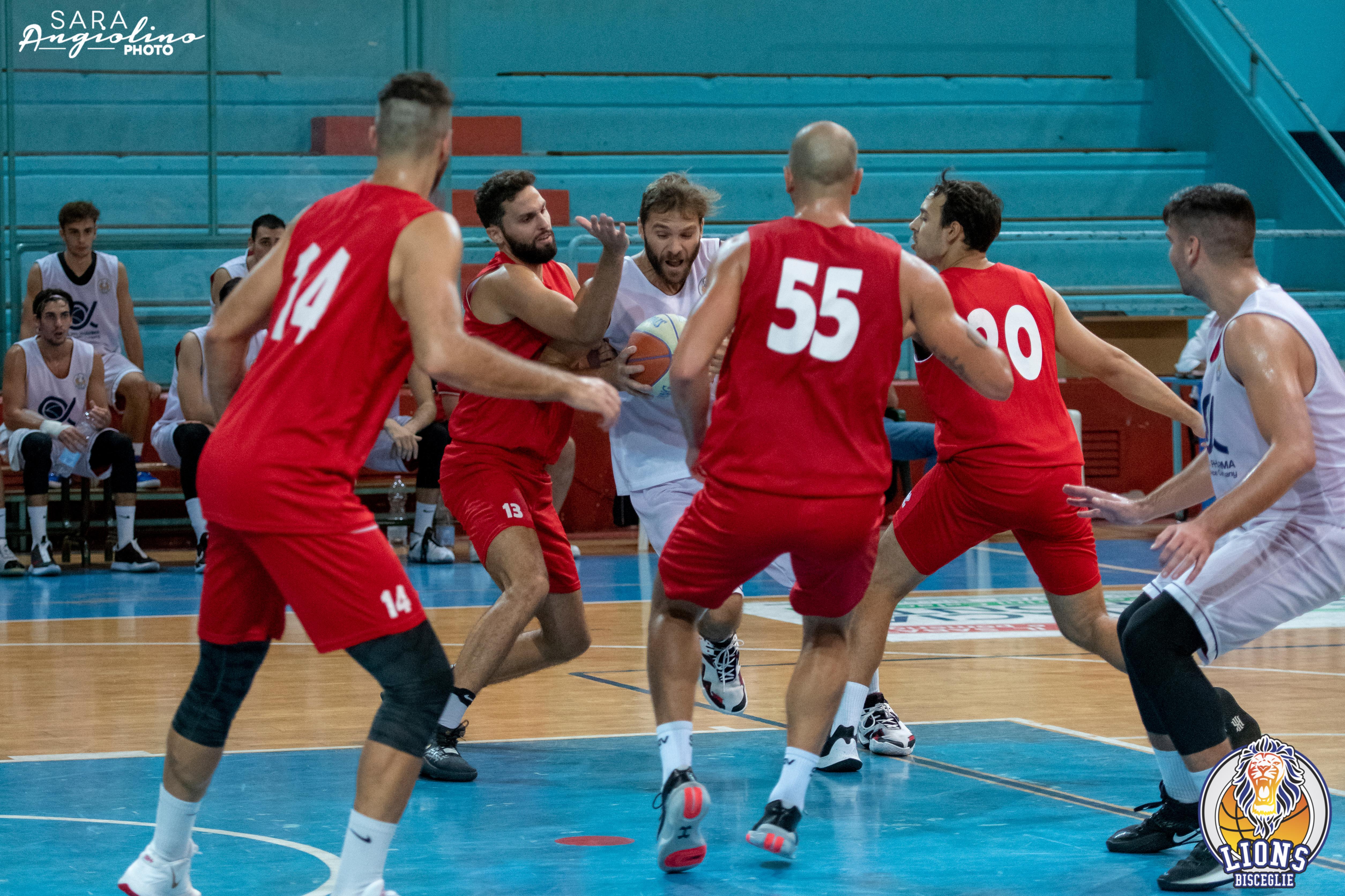 Lions - Molfetta Coppa 00055
