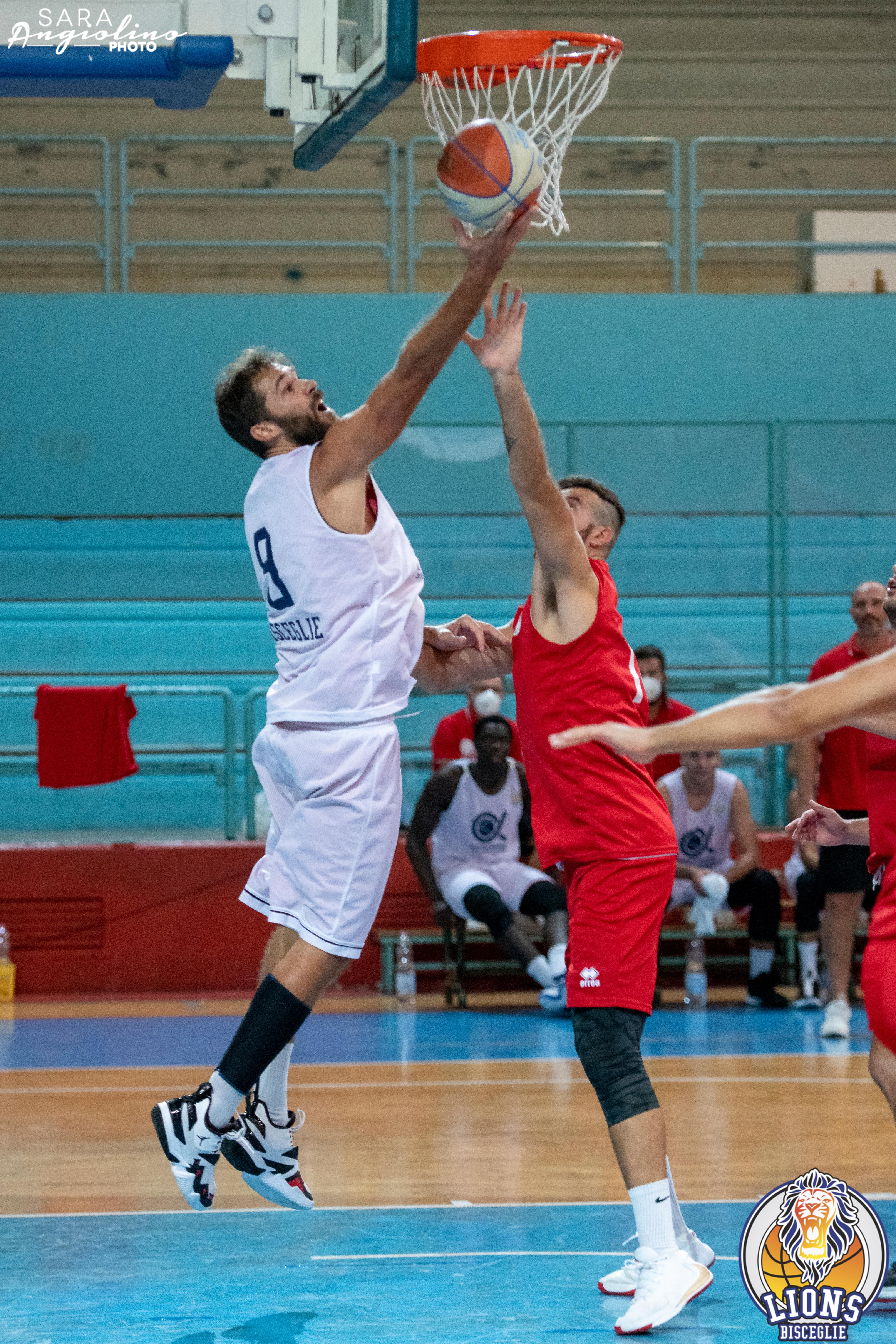 Lions - Molfetta Coppa 00061
