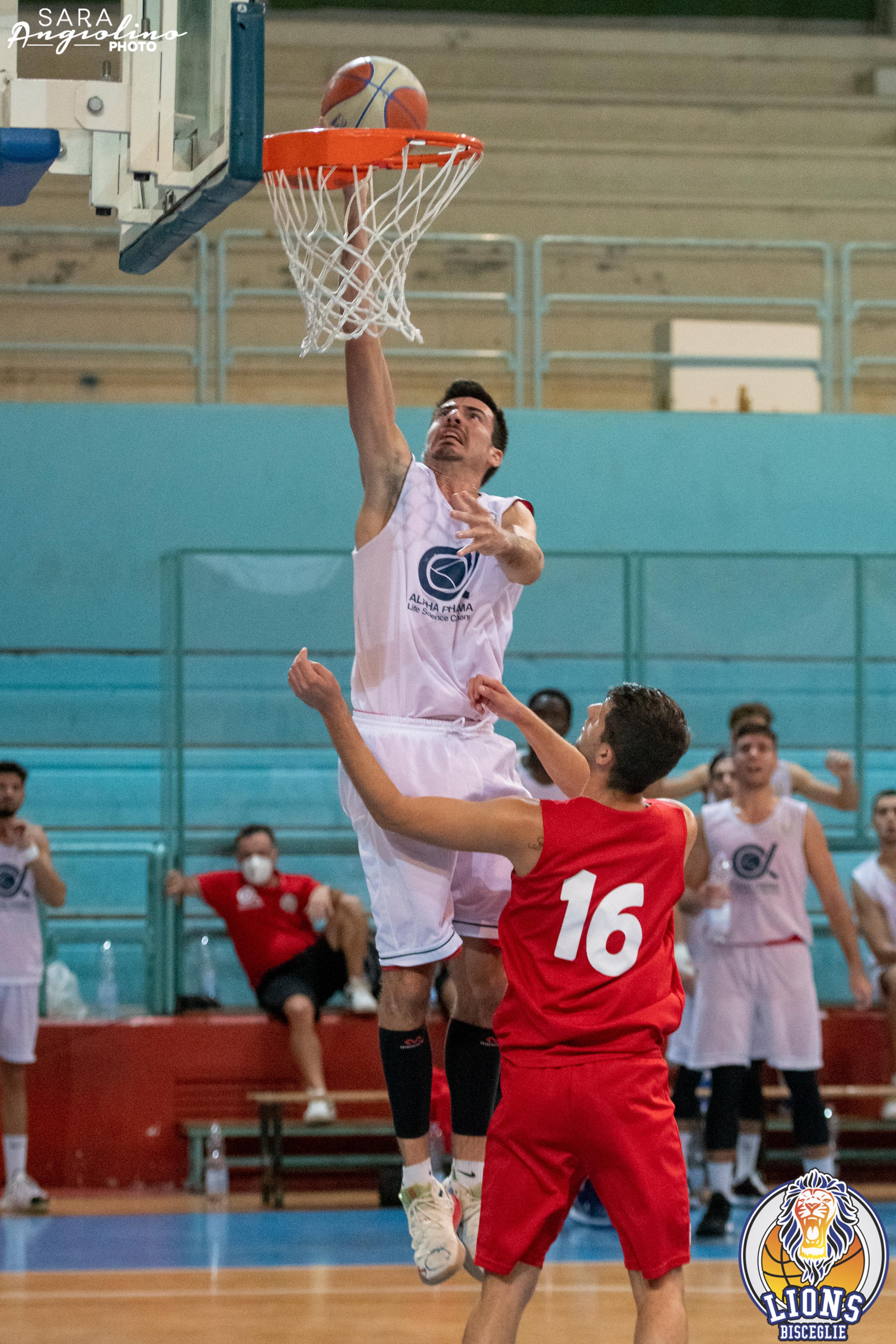 Lions - Molfetta Coppa 00065