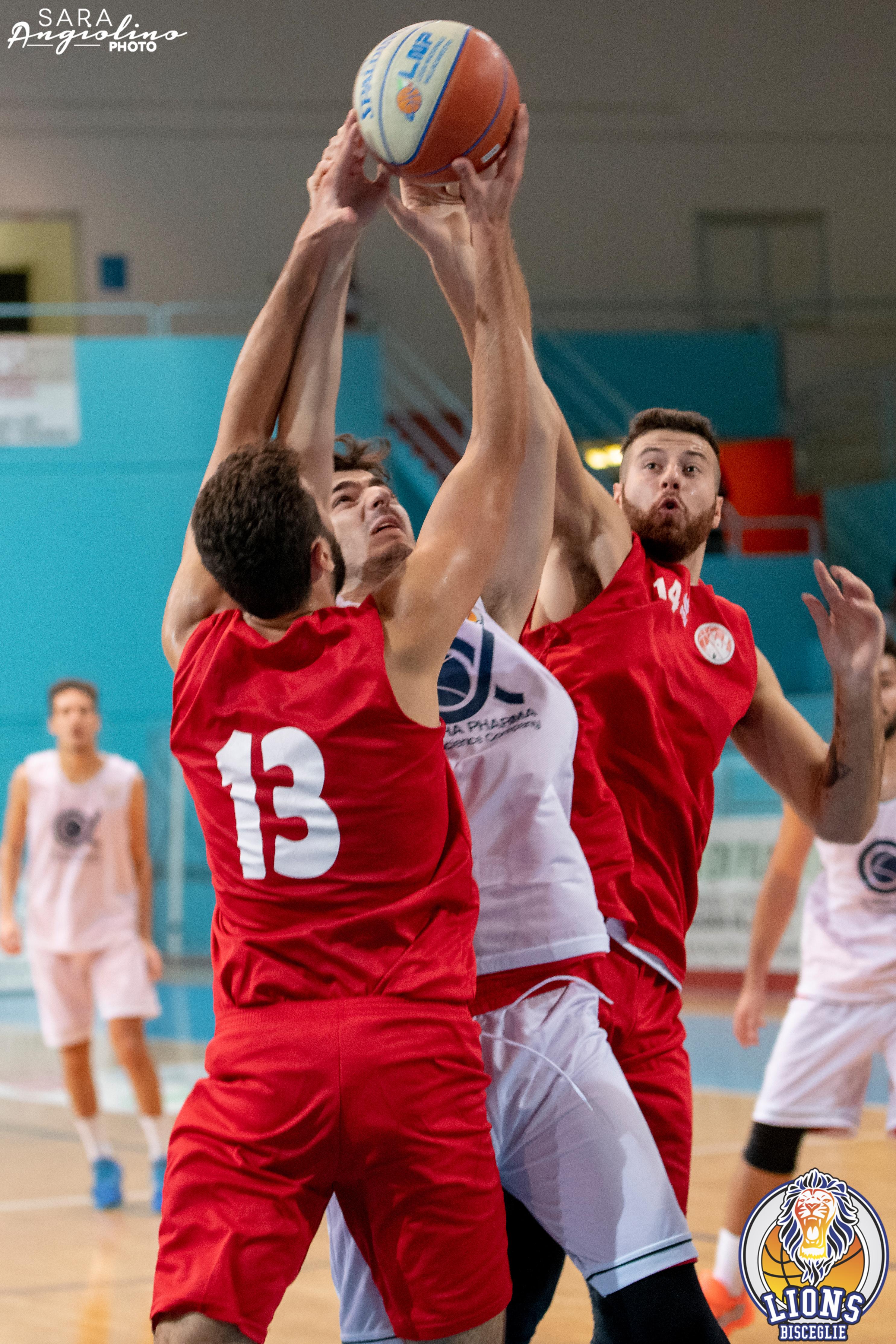 Lions - Molfetta Coppa 00069