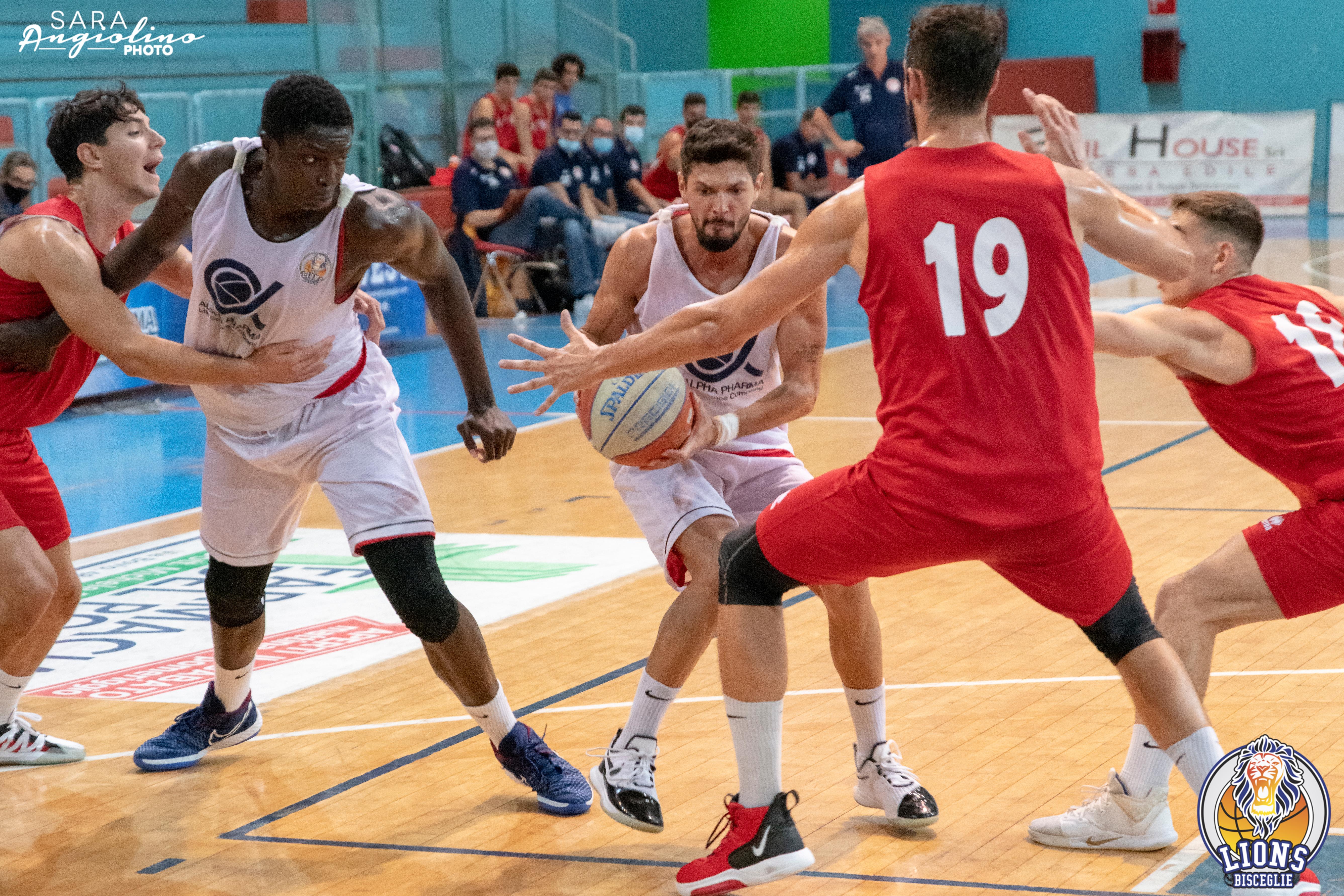 Lions - Molfetta Coppa 00087
