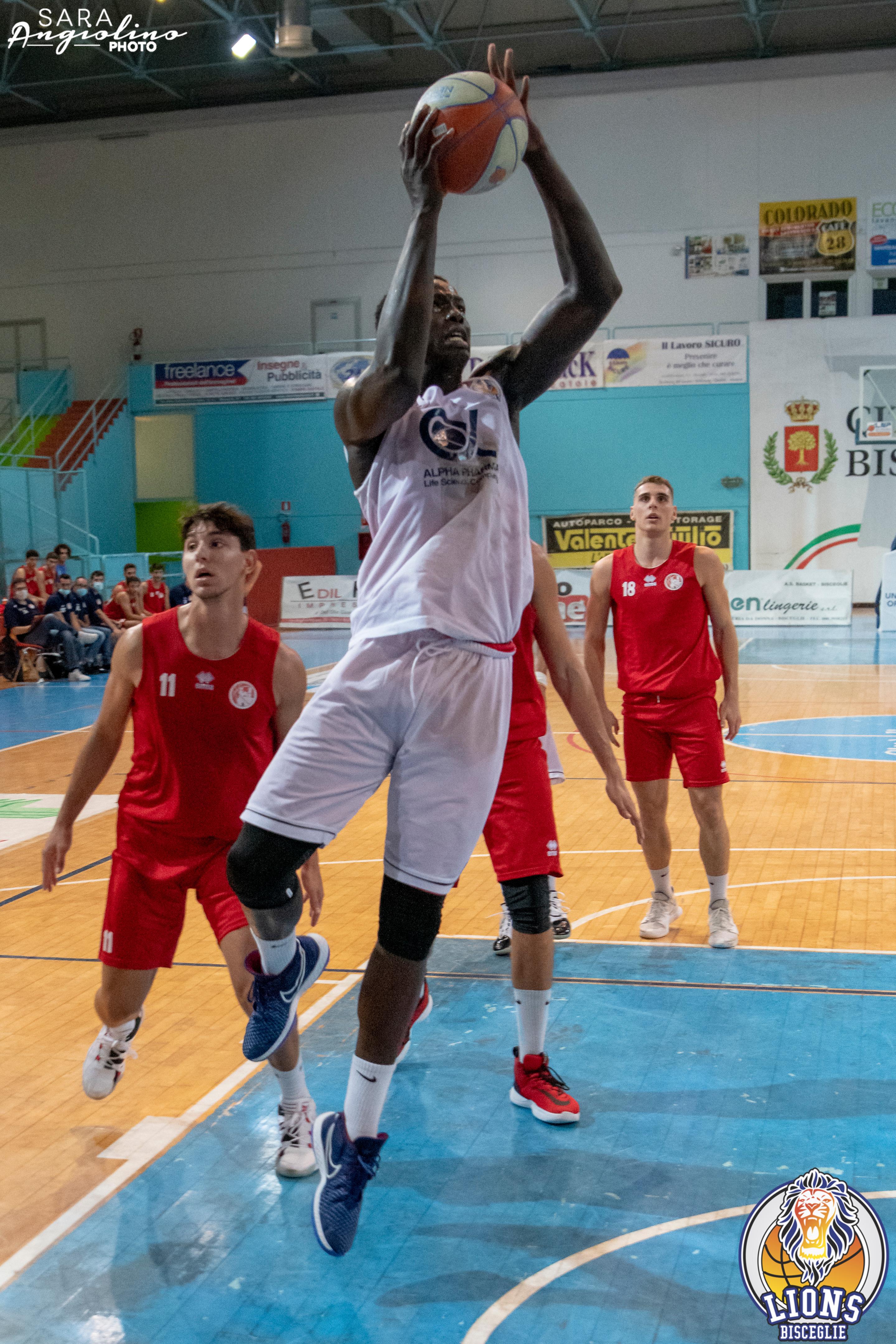 Lions - Molfetta Coppa 00088