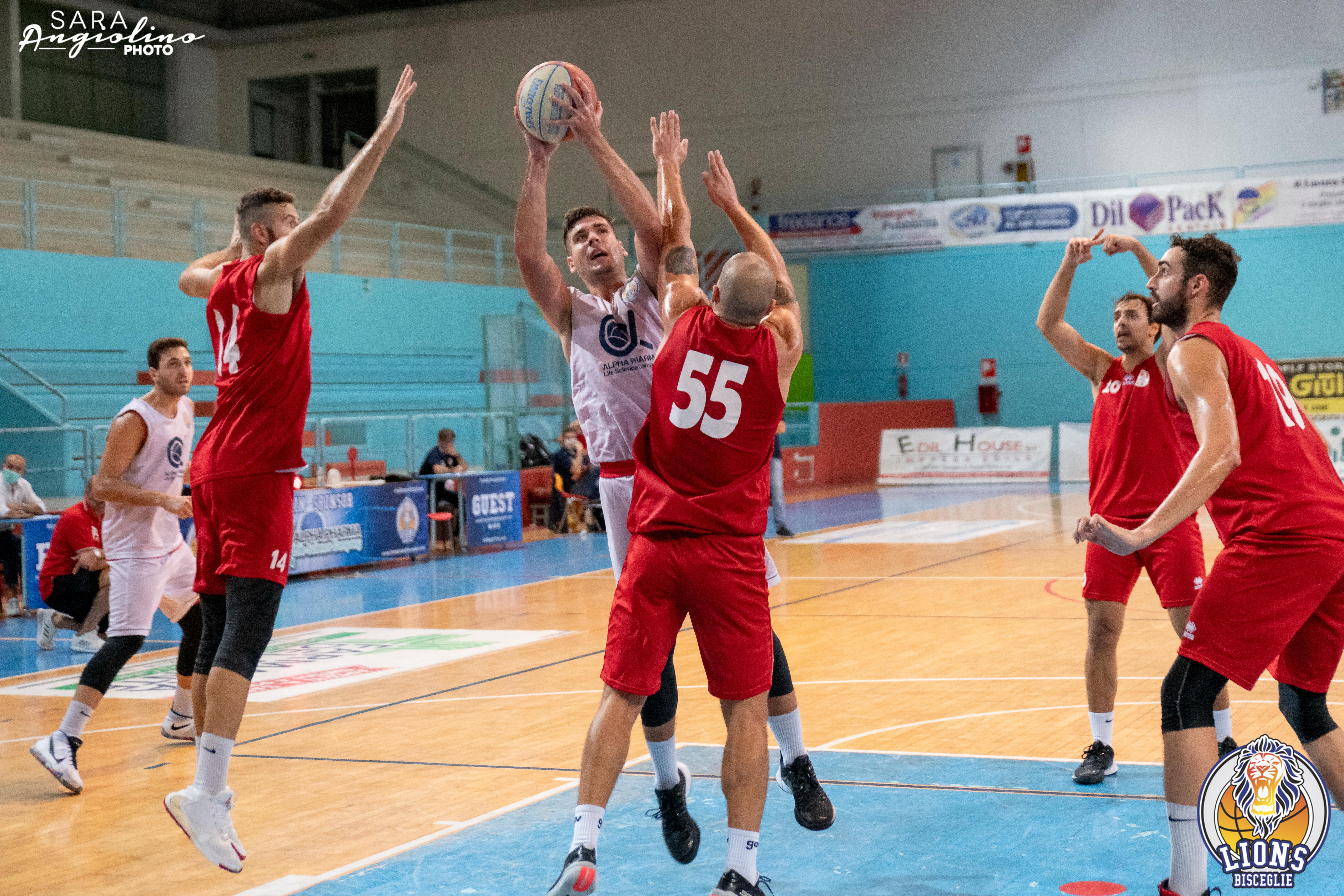 Lions - Molfetta Coppa 00090