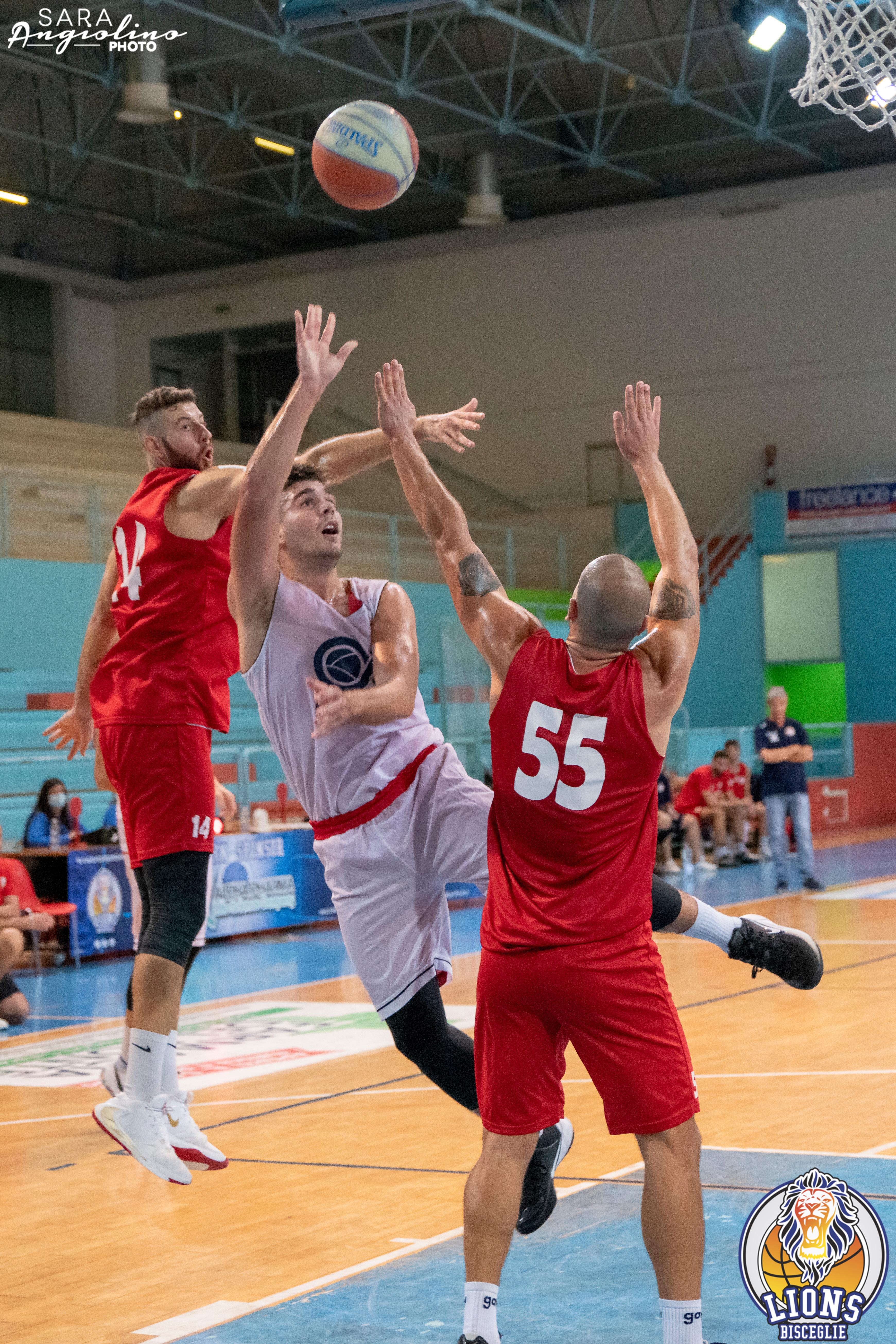 Lions - Molfetta Coppa 00091