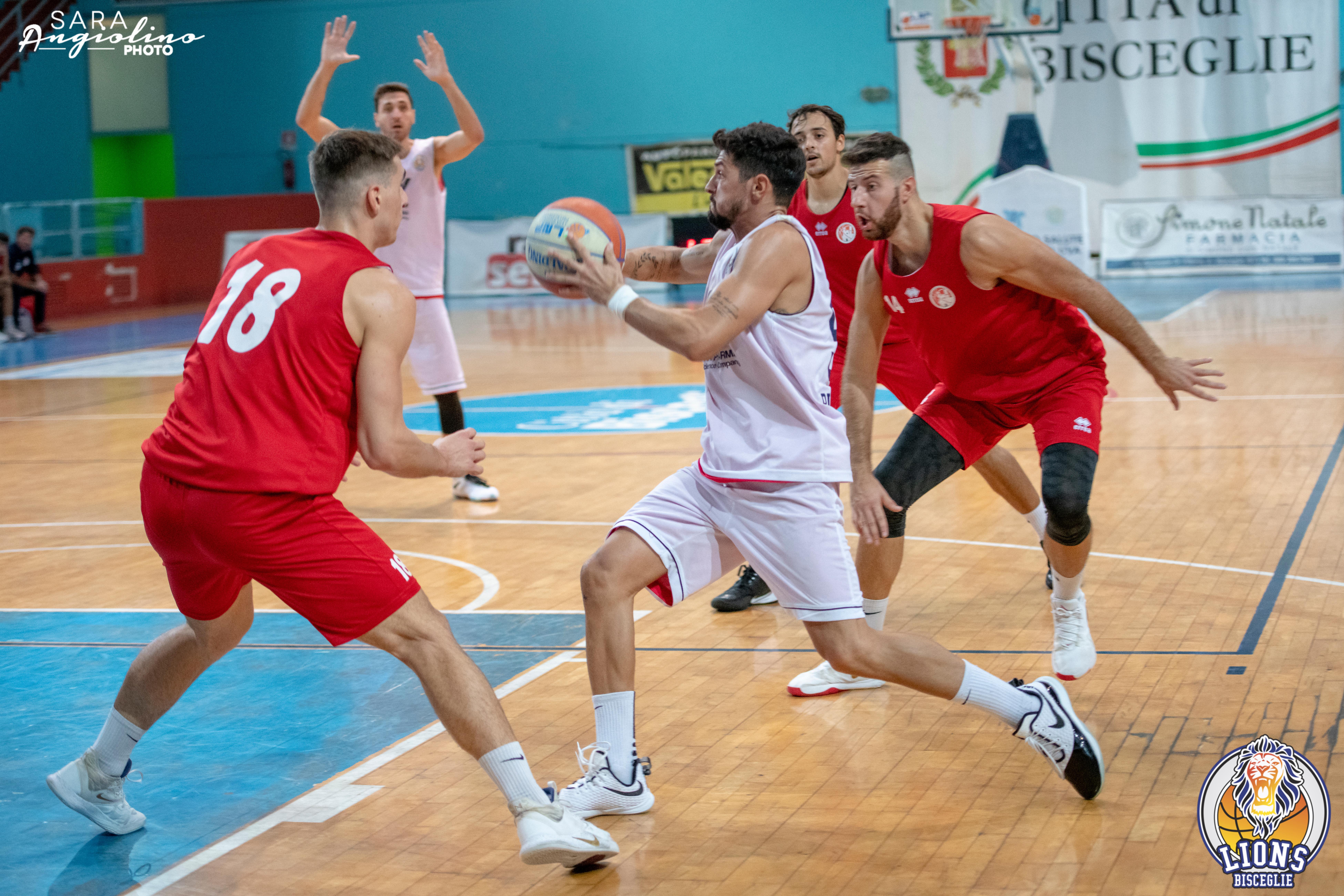 Lions - Molfetta Coppa 00095