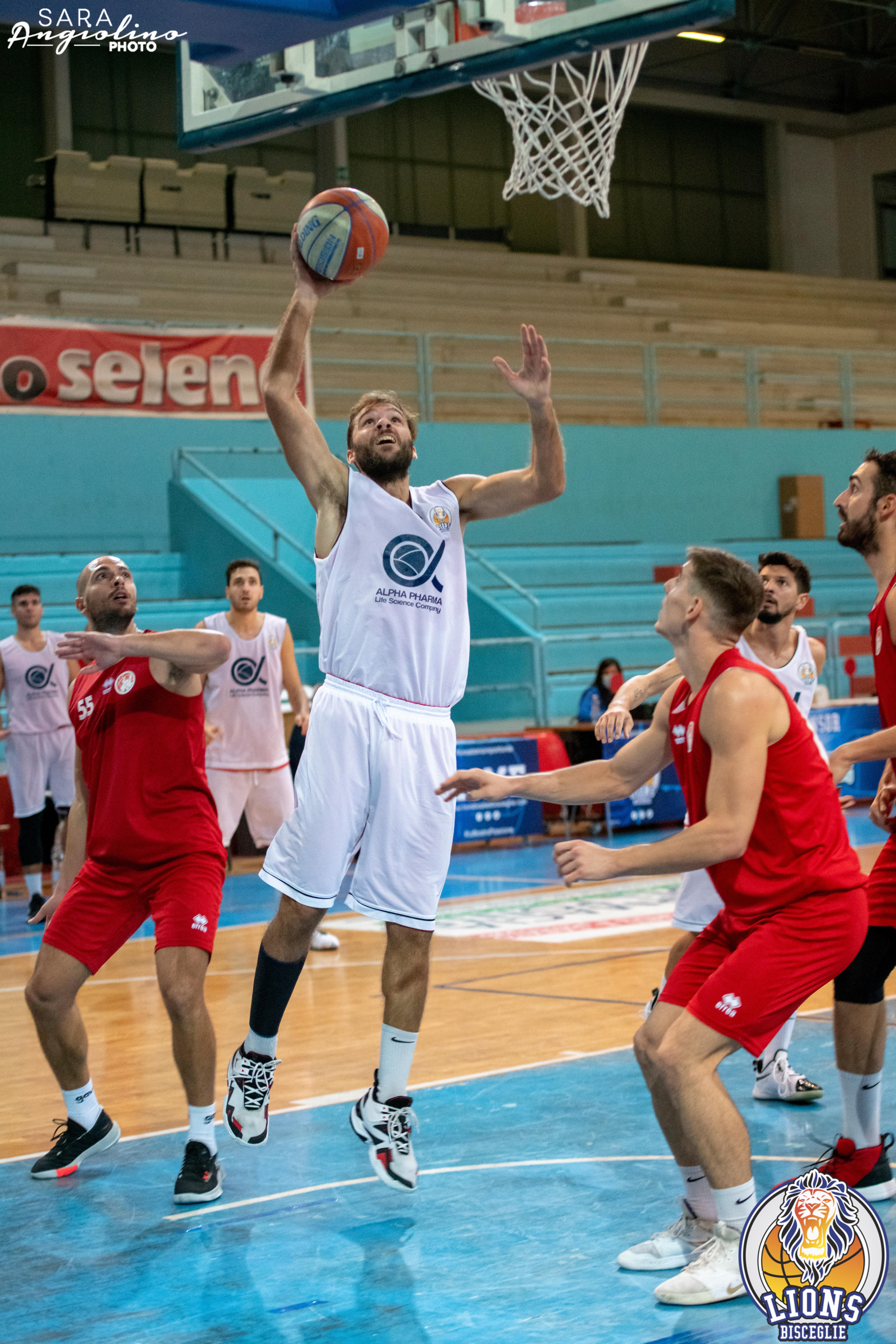 Lions - Molfetta Coppa 00096