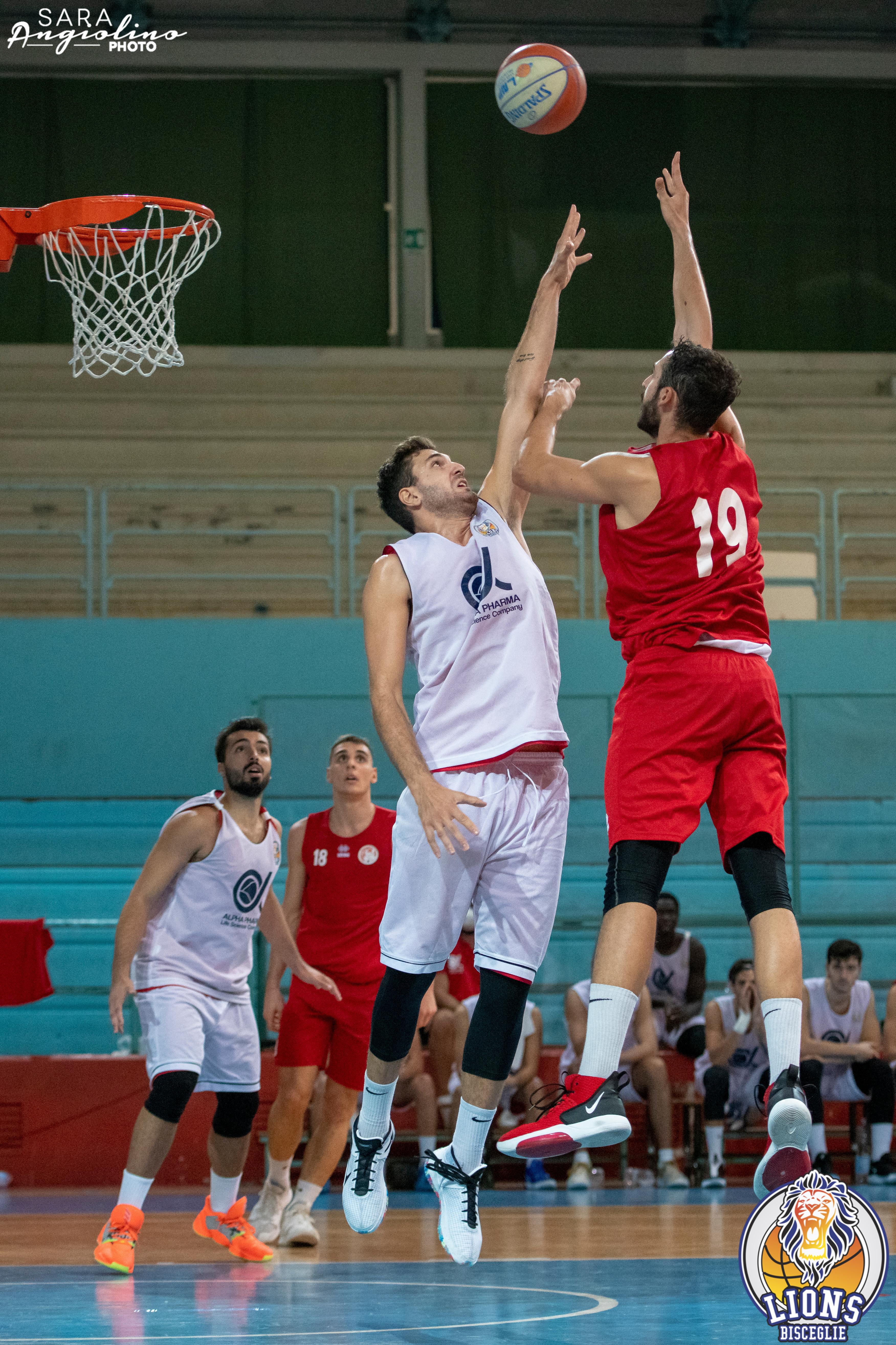 Lions - Molfetta Coppa 00102