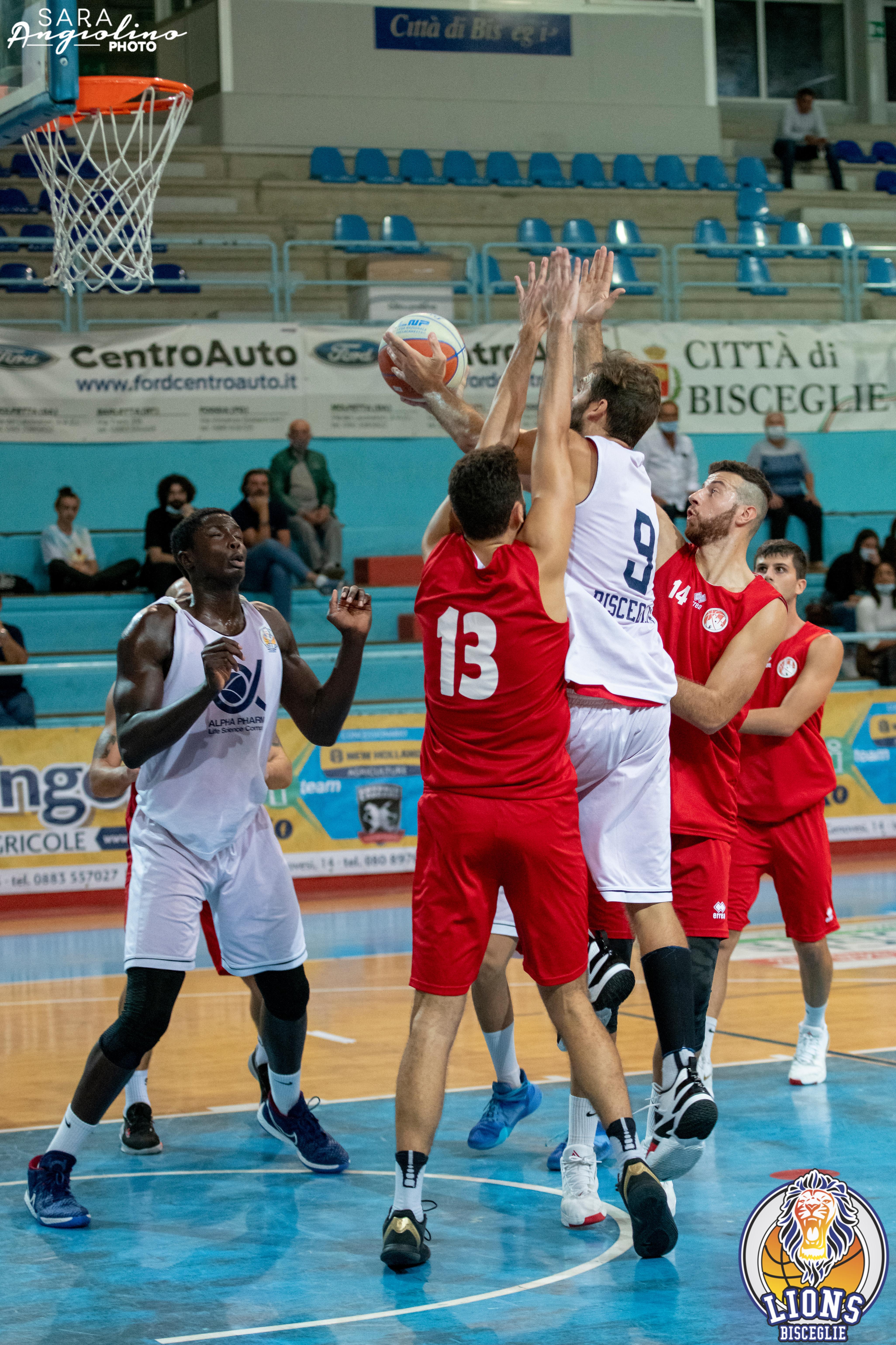 Lions - Molfetta Coppa 00118