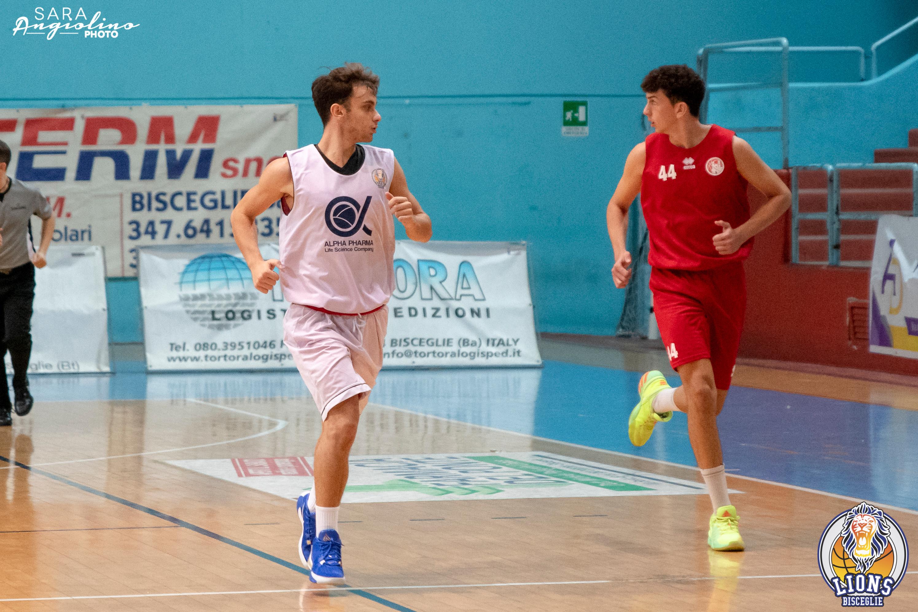 Lions - Molfetta Coppa 00126